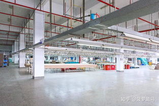 買(mǎi)什么樣的枕頭對(duì)頸椎最好 品牌與健康管理的雙重考量